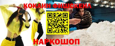 стаф Кингисепп