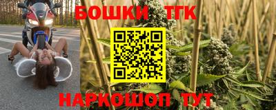 стаф Кингисепп