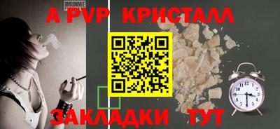 стаф Кингисепп
