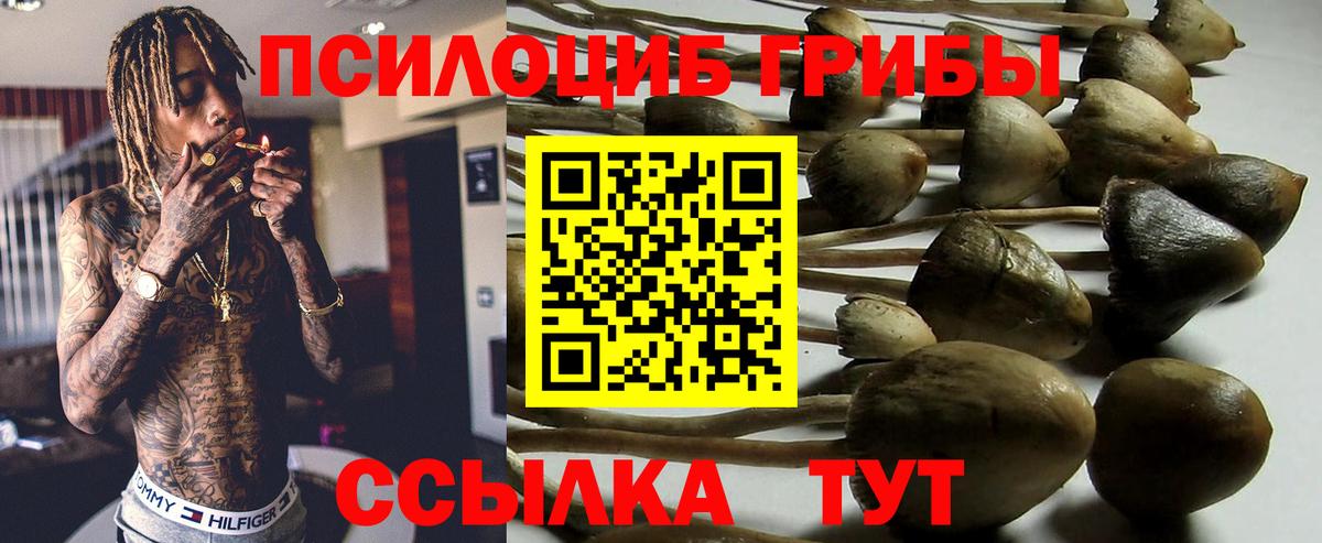 Галлюциногенные грибы Psilocybine cubensis  Вход с VPN  Кохма 